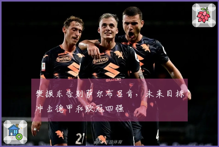 樊振东告别萨尔布吕肯，未来目标冲击德甲和欧冠四强